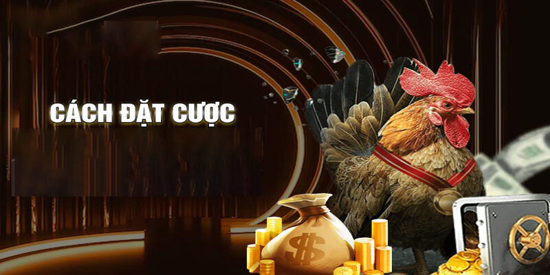 Đá gà 789win có nhiều sức hút lớn
