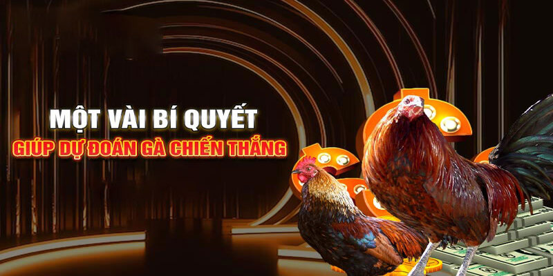 Các mẹo chơi bất bại với đá gà 789win