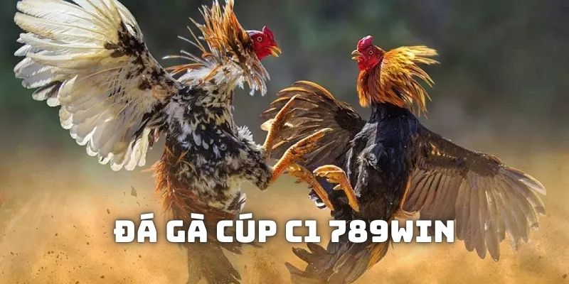 Đôi nét về loại hình đá gà cúp C1 tại 789WIN