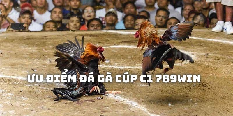 Ưu điểm để hội viên cân nhắc tham gia đá gà cúp C1